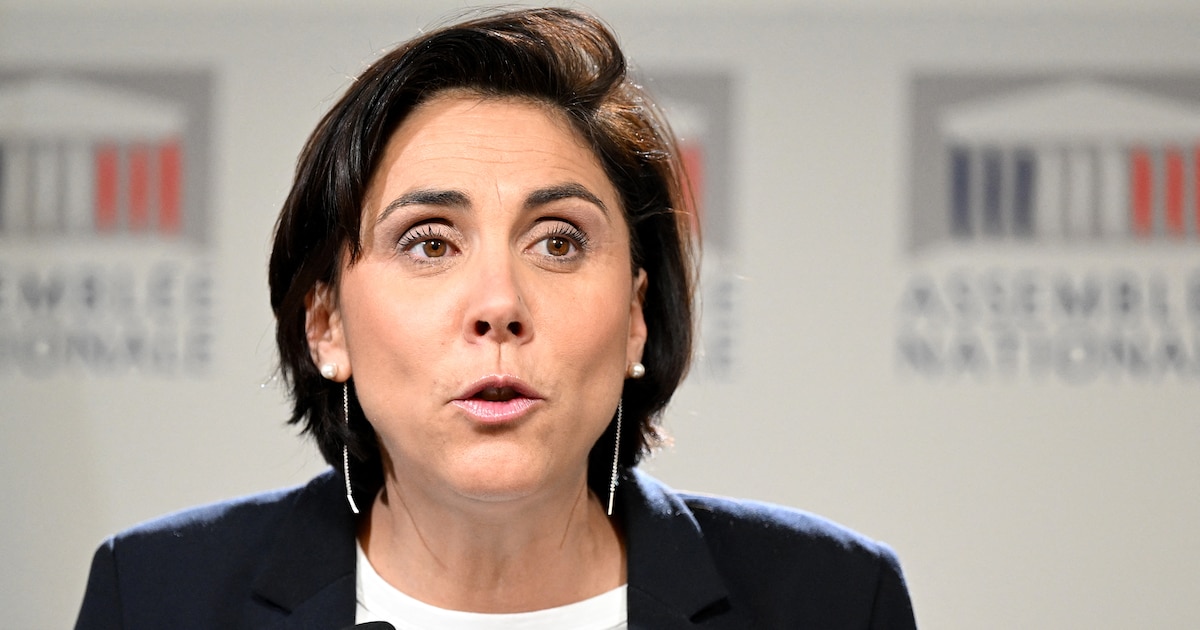 How Laure Lavalette's Five Children Drive Her Parliamentary Engagement